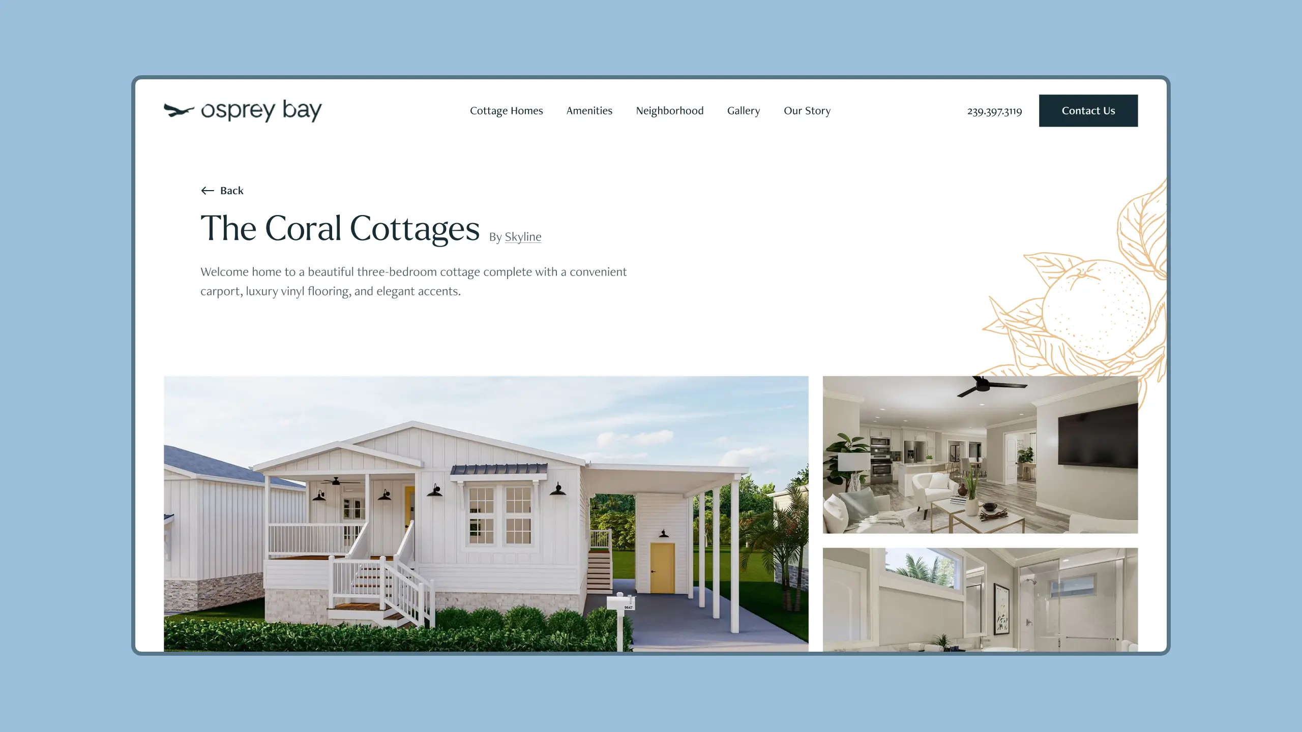 Osprey Bay cottage