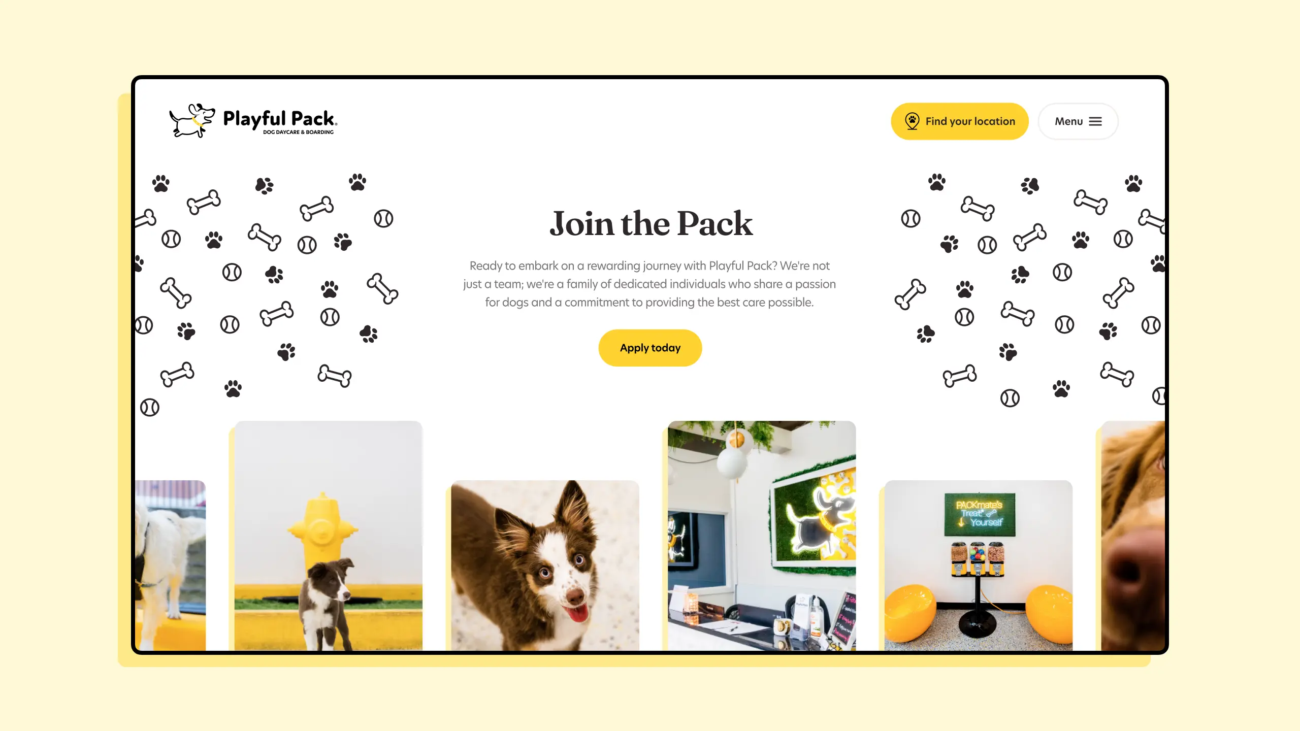 Playful Pack careers