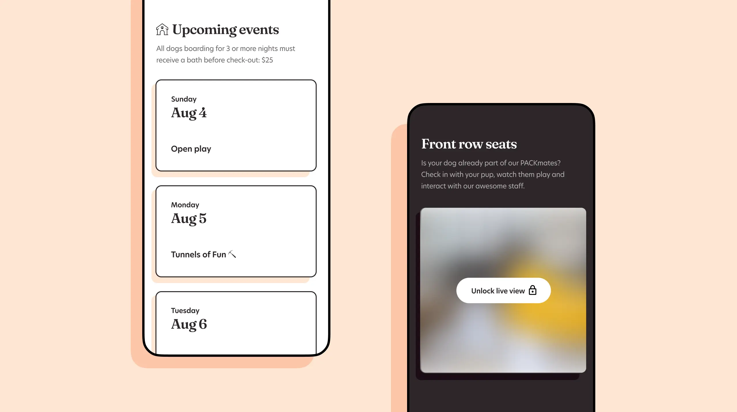 Playful Pack events mobile