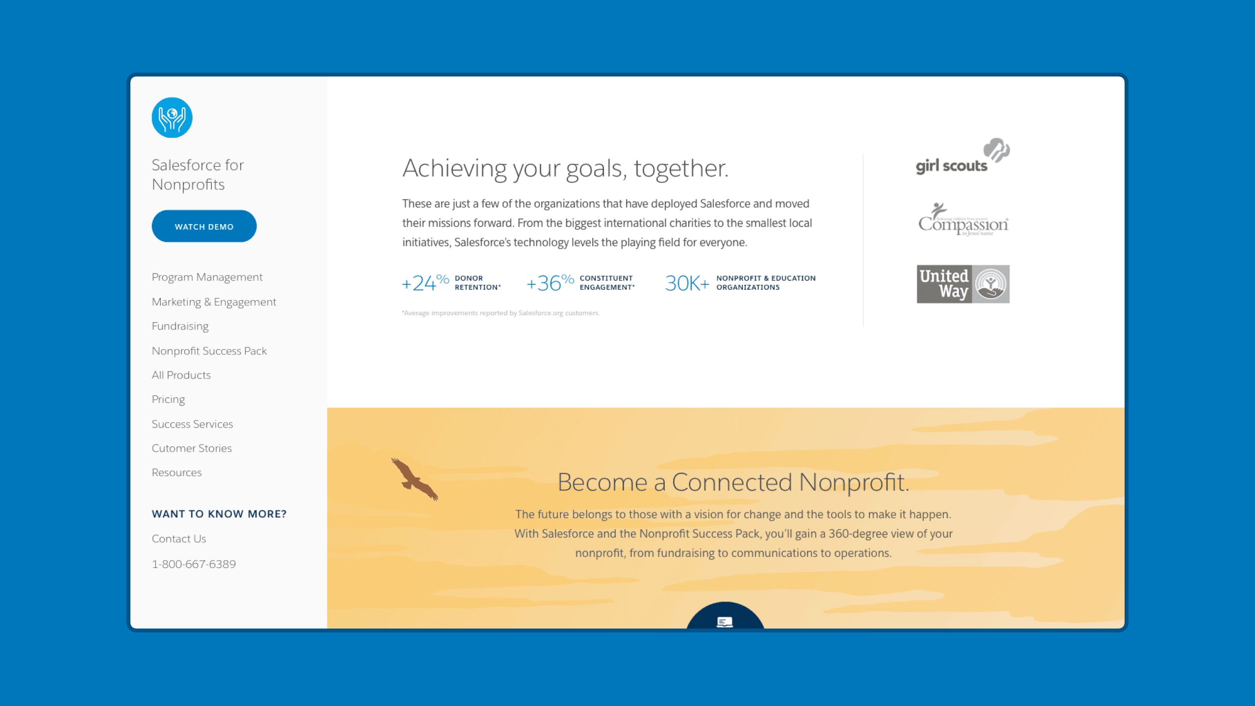 Salesforce details